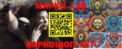 стаф Кандалакша