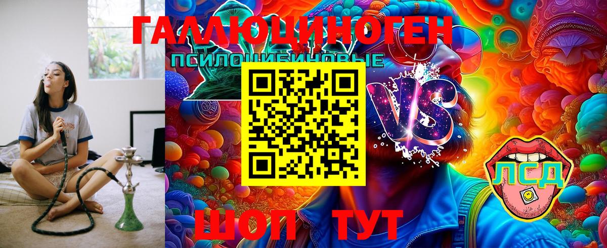 Псилоцибиновые грибы Psilocybine cubensis Камышлов