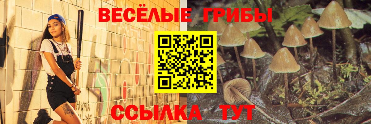 Галлюциногенные грибы Cubensis  Вход с VPN  Камышлов  Галлюциногенные грибы ЛСД 